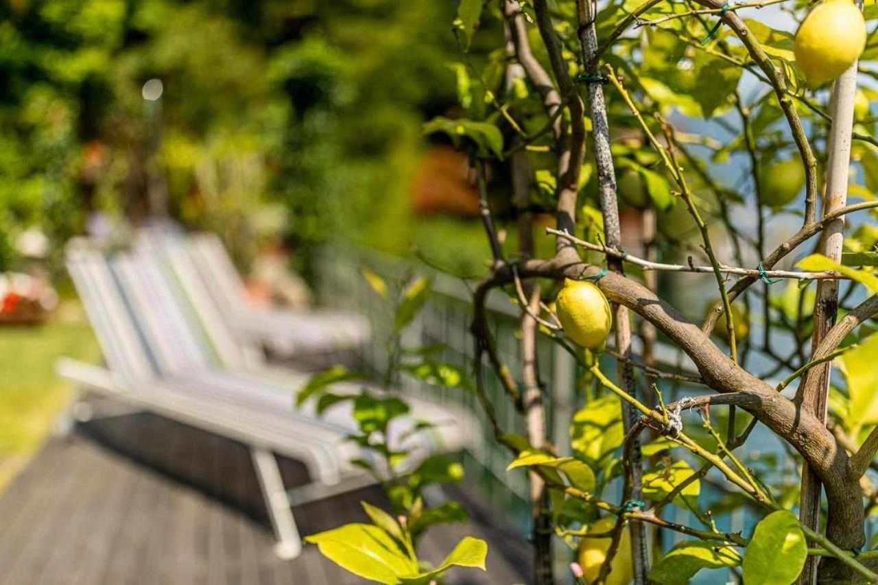 Villa Delle Edere Brienno エクステリア 写真